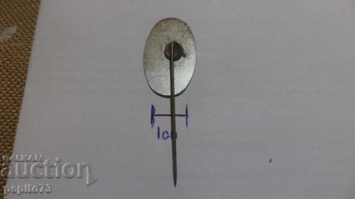 Доставка на значка рекламна ,Wipwater Molen, водна мелница