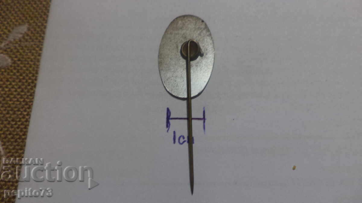 значка рекламна ,Wipwater Molen, водна мелница - 5