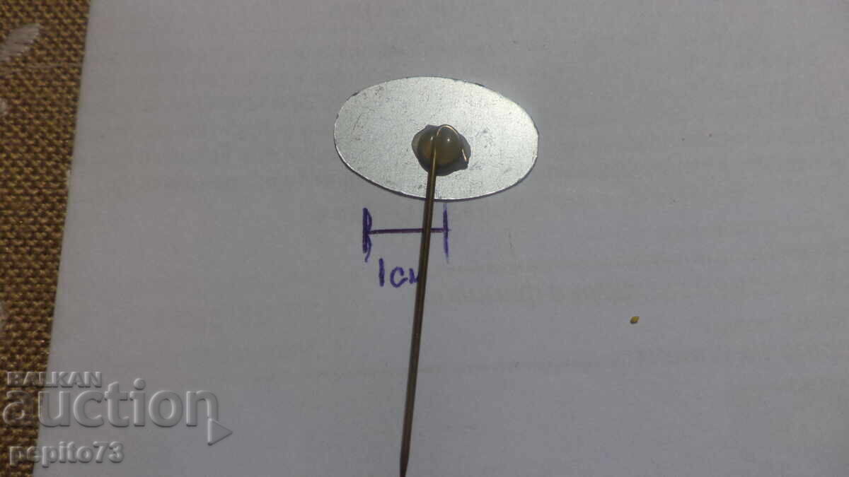 Znachka reklamna ,Koolwjtje, fluture galben - 5