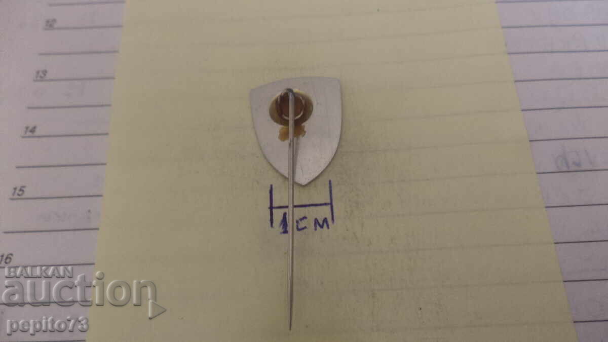 Licitație Emblemă publicitară, Leeuwen-Zegel, Groningen