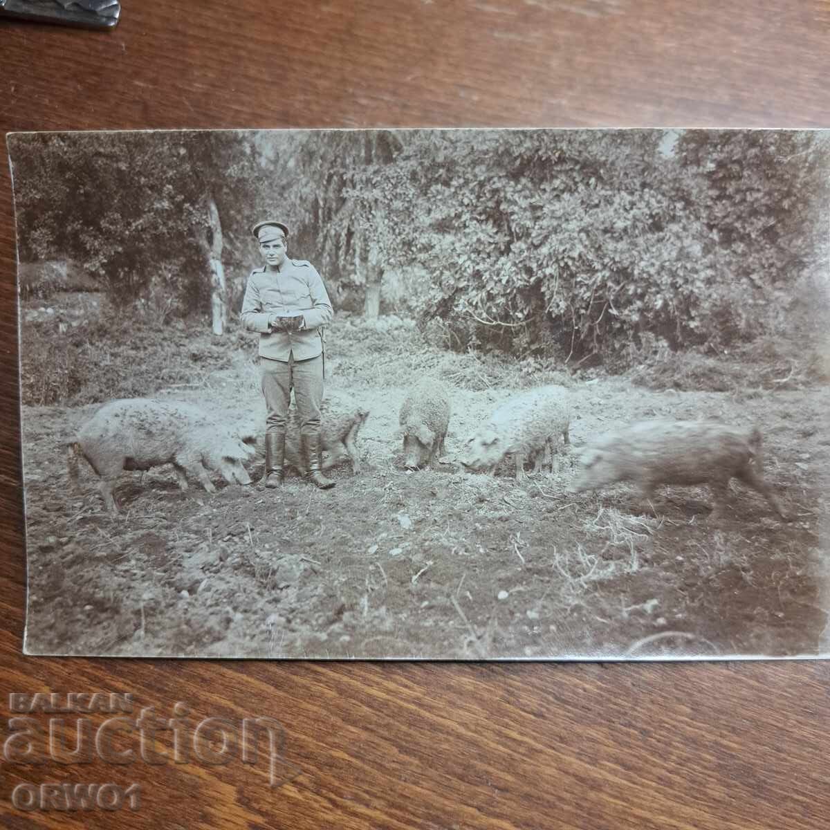 Αξιωματικός και Γουδάνι Πρώτου Παγκοσμίου Πολέμου Βασίλειο Βουλγαρίας Αξιωματικός και Γουδάνι Πρώτου Παγκοσμίου Πολέμου Βασίλειο Βουλγαρίας