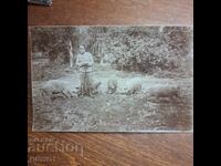 Αξιωματικός και Γουδάνι Πρώτου Παγκοσμίου Πολέμου Βασίλειο Βουλγαρίας