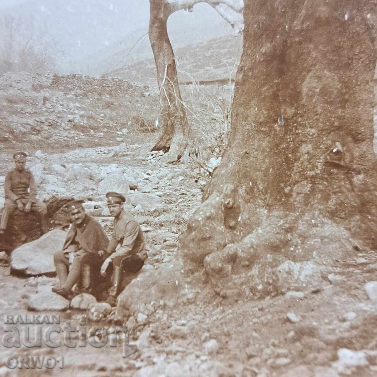 Ofițeri arbore secular Primul Război Mondial Regatul Bulgariei cu preț € 4.00 | 7.82 BGN