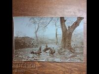 Αξιωματικοί αιώνιο δέντρο Πρώτου Παγκοσμίου Πολέμου Βασίλειο Βουλγαρίας