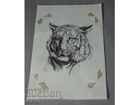 Стара Майсторска рисунка картина туш тигър