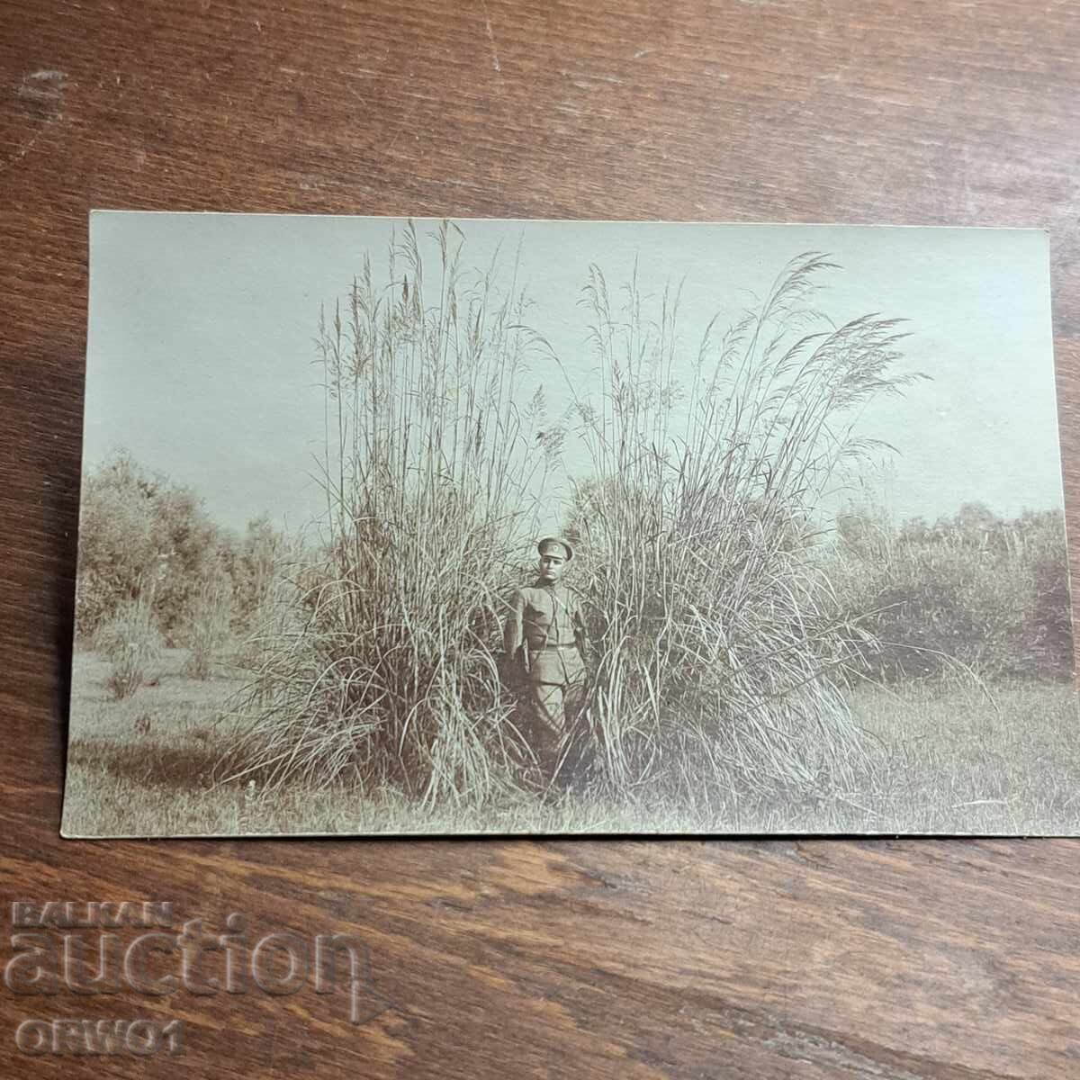 Ofițer cu toc pistol Primul Război Mondial Regatul Bulgariei cu preț € 3.00 | 5.87 BGN