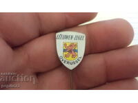 Insigna publicitară, Leeuwen-Zegel, Overijssel