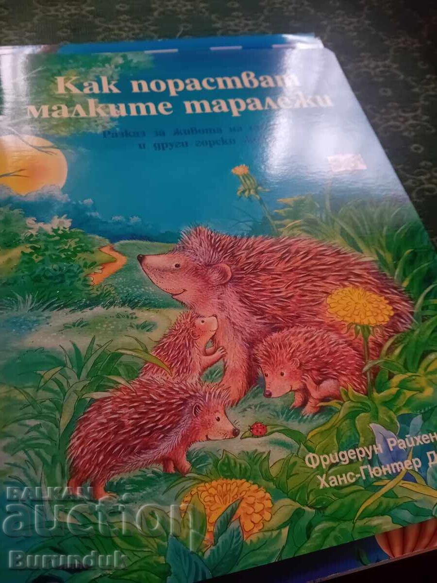 Πώς μεγαλώνουν τα μικρά σκαντζοχοιράκια;