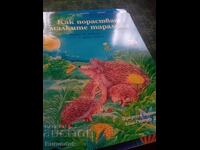 How little hedgehogs grow up