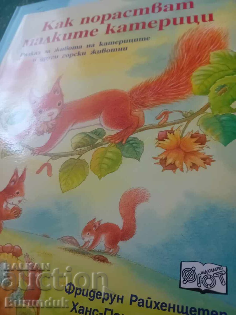 Cum cresc veverițele mici?