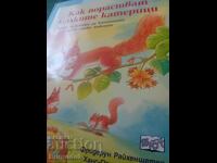 How do baby squirrels grow up?