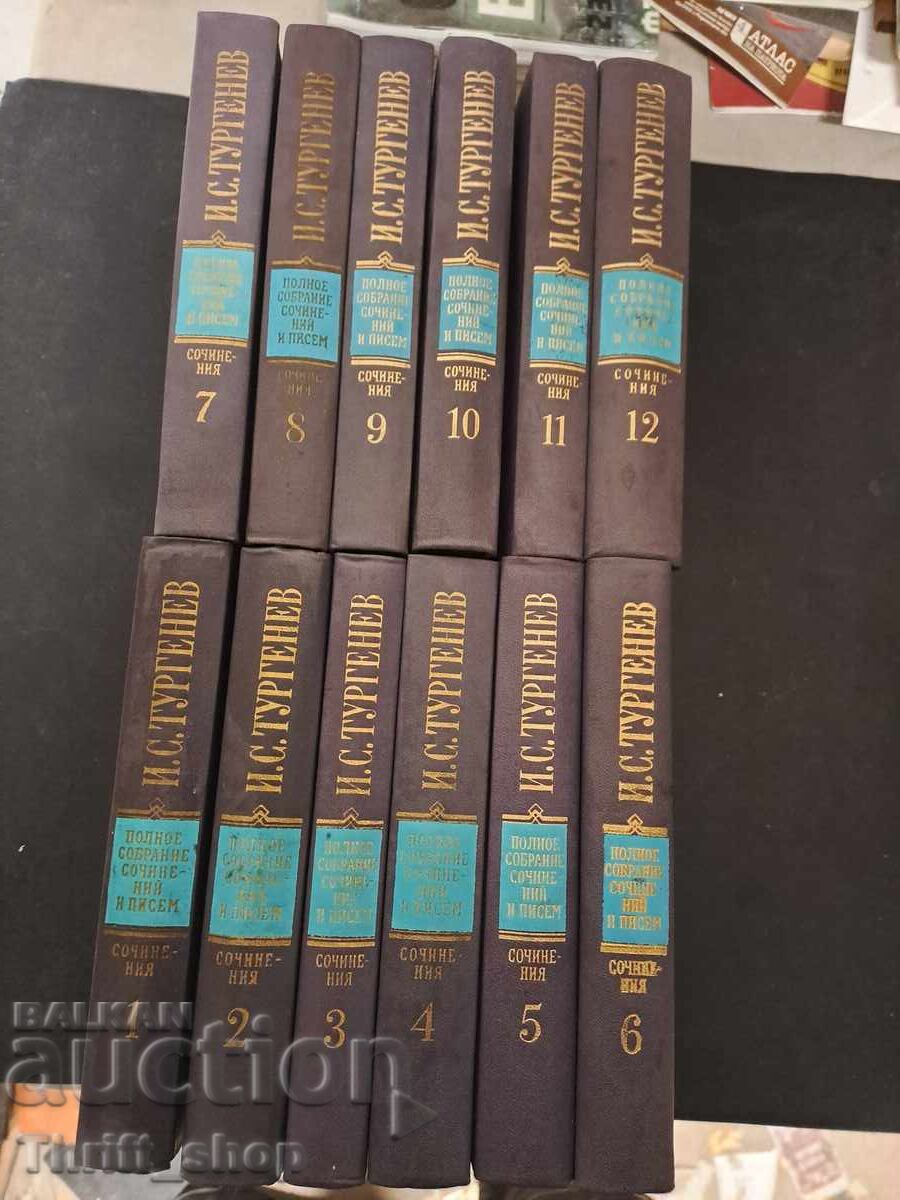 Set Turghenev (limba rusă)