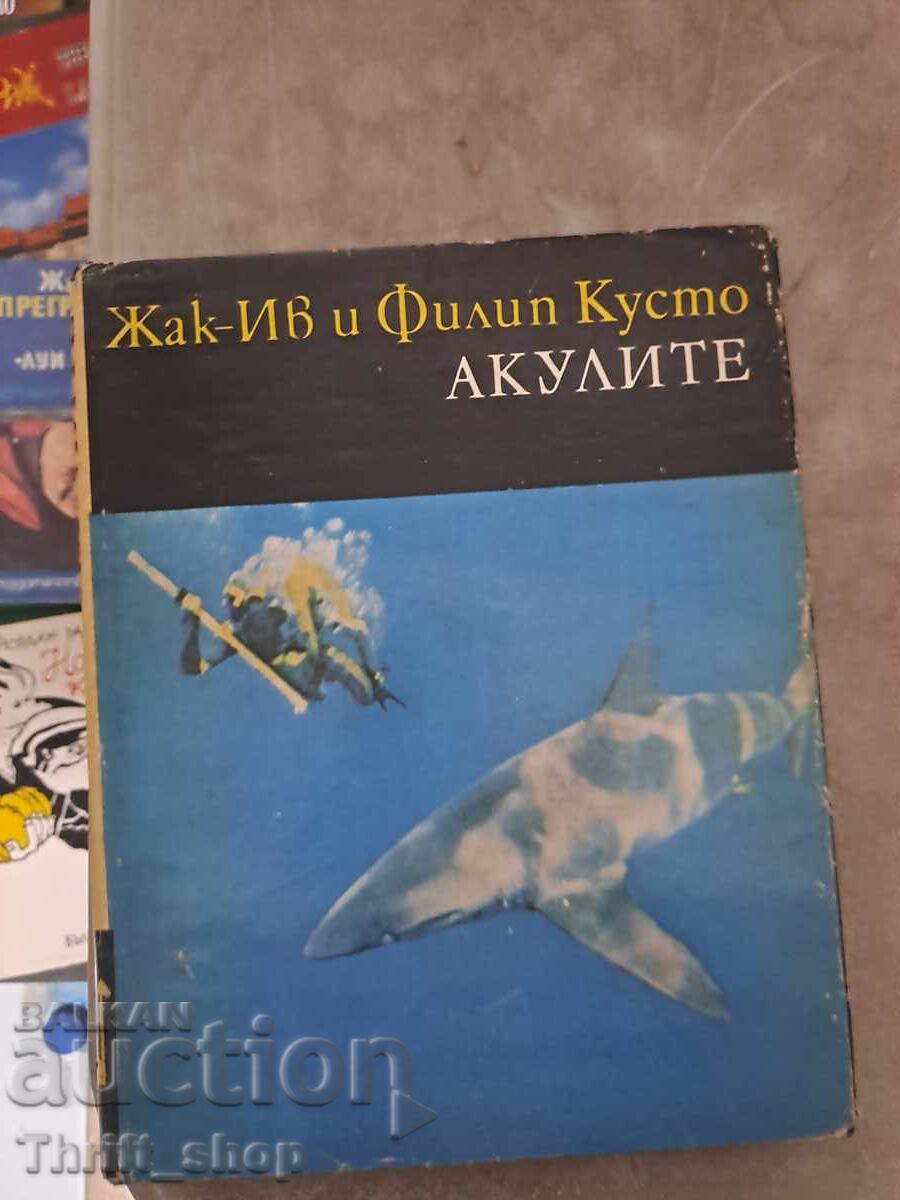 Οι καρχαρίες Ζακ-Υβ και Φιλίπ Κουστώ