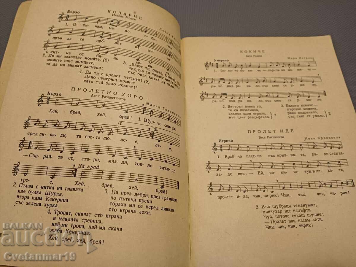 Licitație Cântece de școală