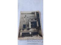 Φωτογραφία Σόφια Συνεργατισμός