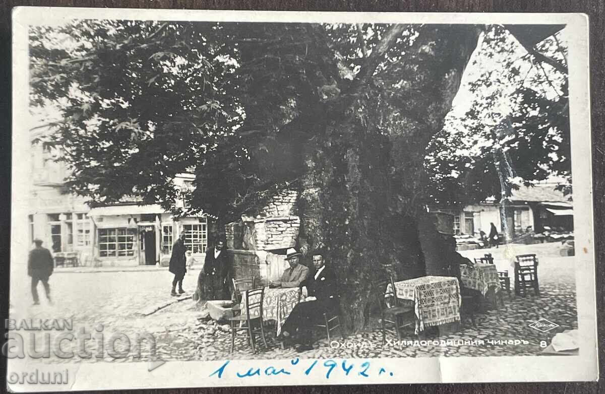 5642 Kingdom of Bulgaria postcard Macedonia Ohrid Millennial