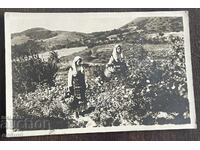 5645 Царство България картичка Розобер 1940г.