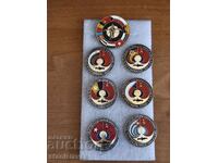 Intercosmos badge collection