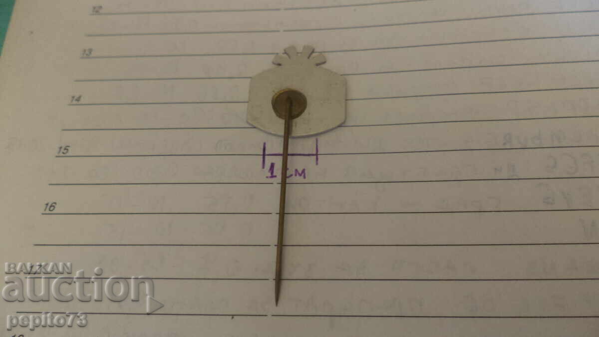 Advertising badge, B&R bonbons, confectionery brand - 5