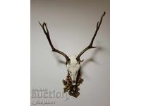 Elk with antlers Trophy No. 4