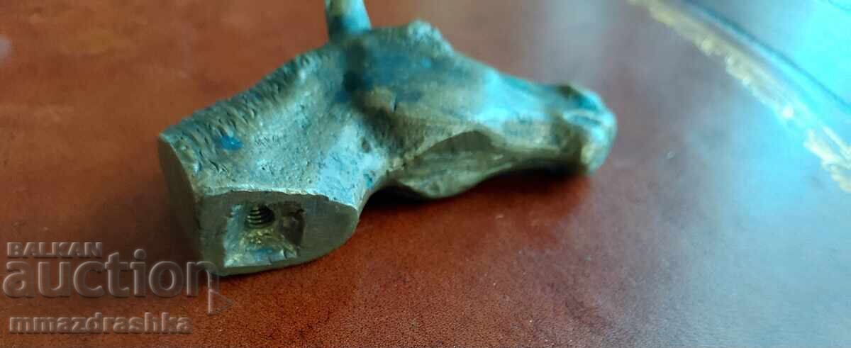 Livrarea Cap de cal de bronz