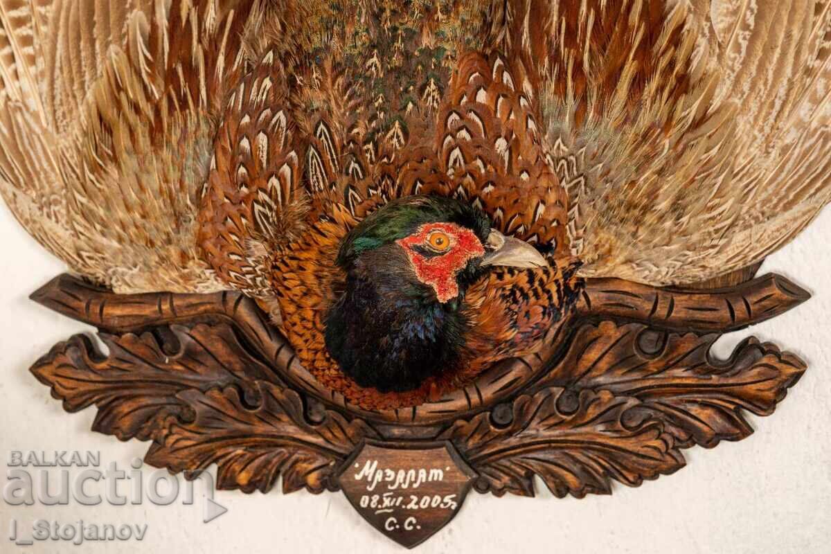 Medalion bărbați fazan piept Medalion bărbați fazan piept