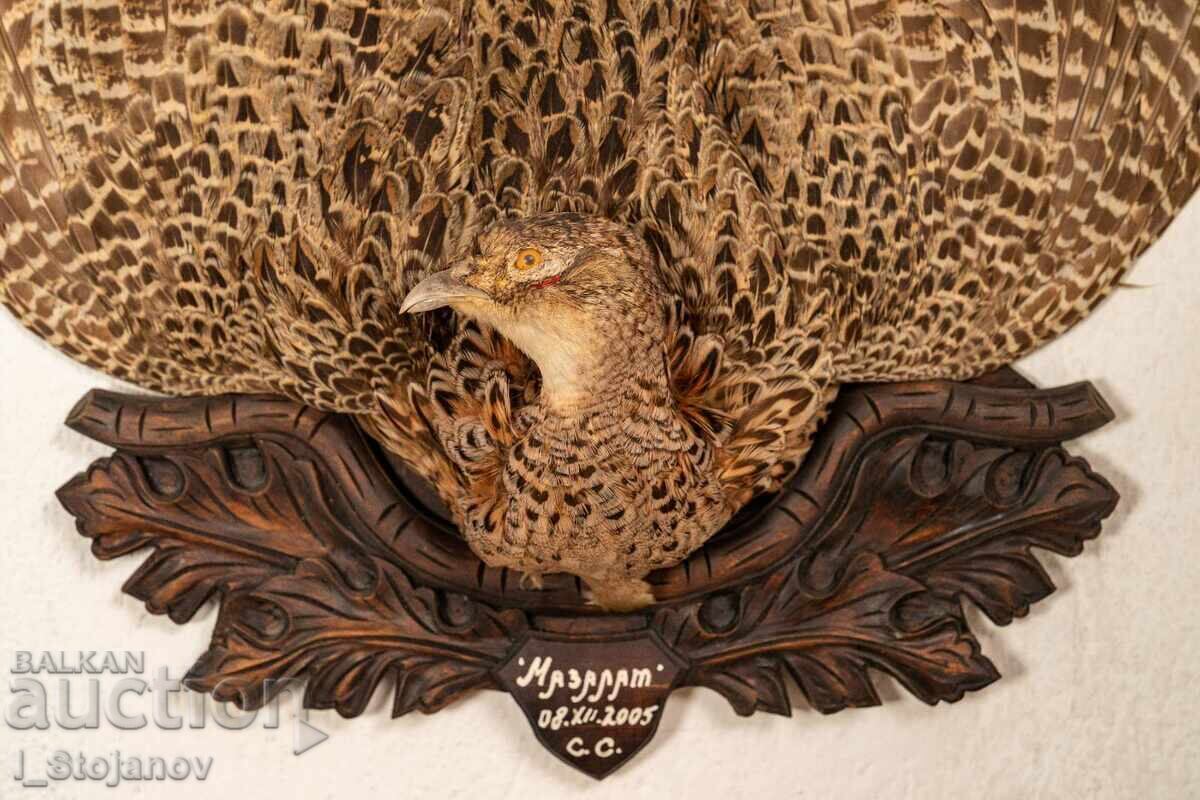 Female pheasant breast pendant with price € 127.00 | 248.39 BGN