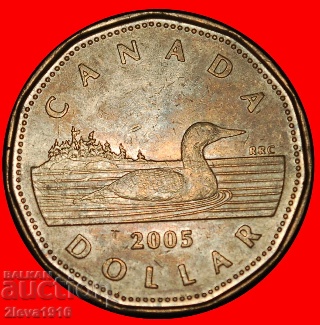 Ⰺ LUCKY LOONIE (2004‑2023): CANADA ★ 1 DOLLAR 2005! Ⰺ LUCKY LOONIE (2004‑2023): CANADA ★ 1 DOLLAR 2005!