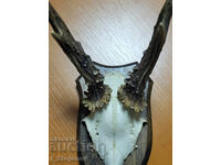 Ελάφι αρσενικό № 4