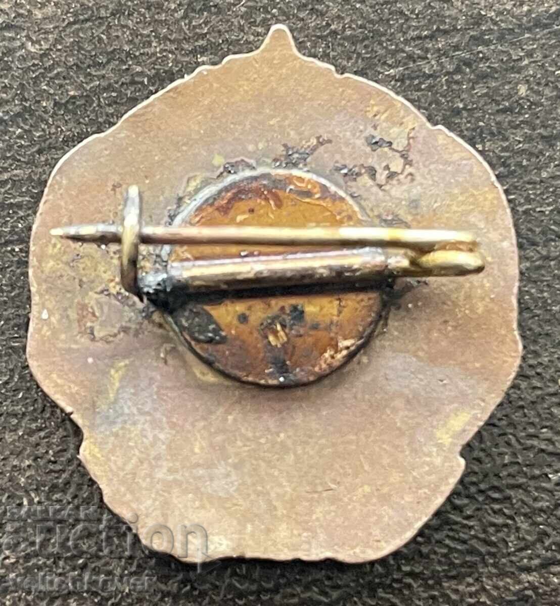 42990 Bulgaria semn miniatură ordin Gheorghe Dimitrov email cu preț € 80.00 | 156.47 BGN