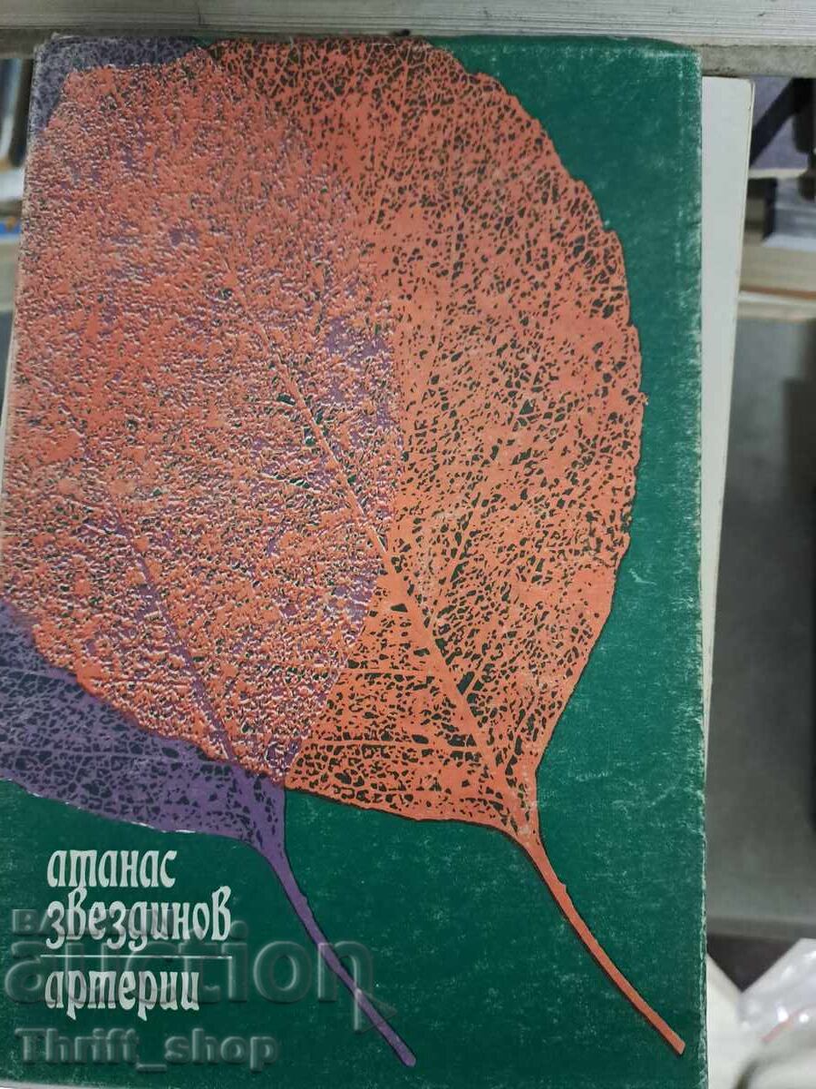 Αρτηρίες Αθανάσιος Ζvezdinov