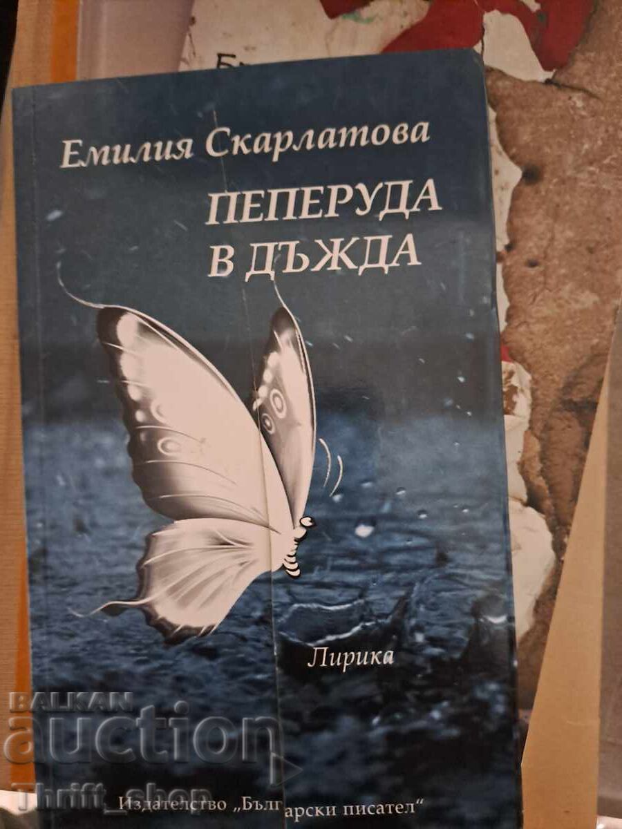 Butterfly in the Rain Emilia Skarlatova