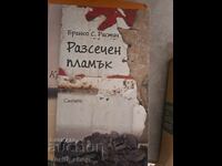 Flacără Frântă Branko S. Ristić