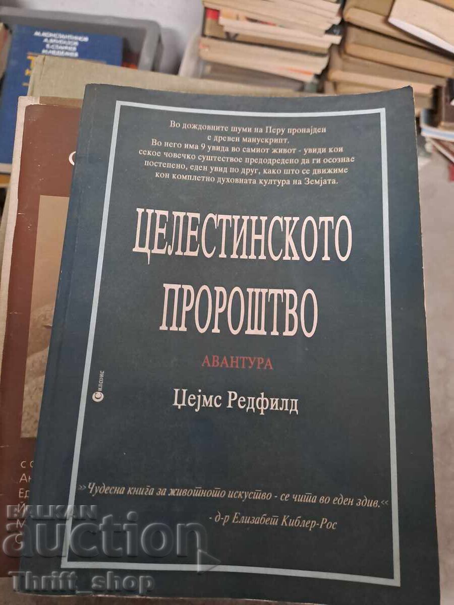 The Celestine Prophecy