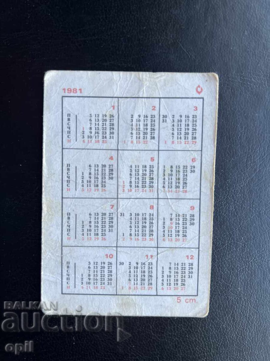 Calendar Panter - Zagato 1981 cu preț € 0.15 | 0.29 BGN