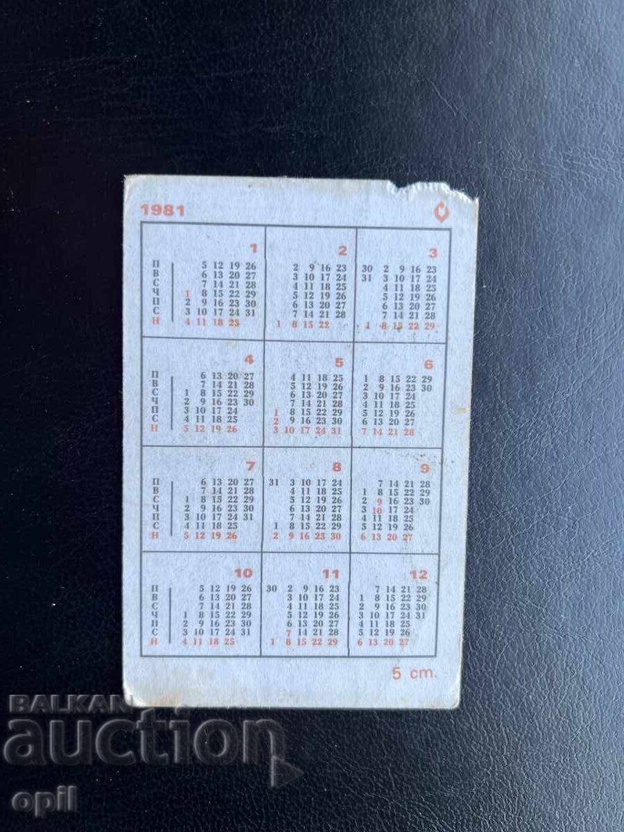 Calendar Skoda Rally 200 RS 1981 cu preț € 0.15 | 0.29 BGN
