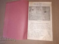 Βιβλίο Λογοτεχνίας, Σύνταξη Βασίλειο της Βουλγαρίας