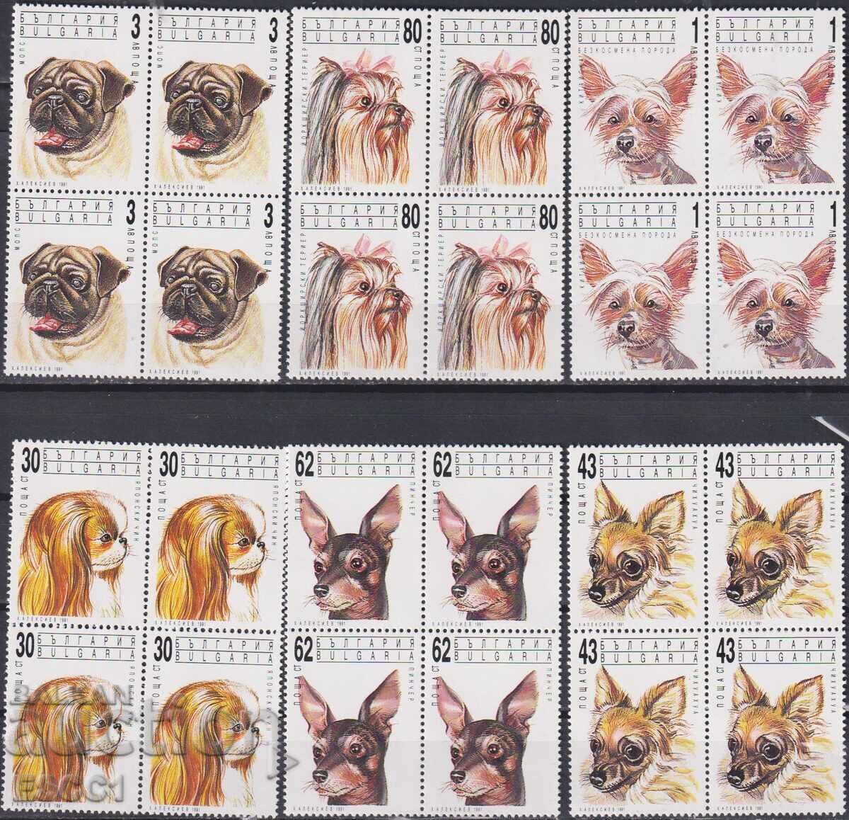 Καθαρές γραμματόσημες σε φάκελο Fauna Dogs 1991 από Βουλγαρία