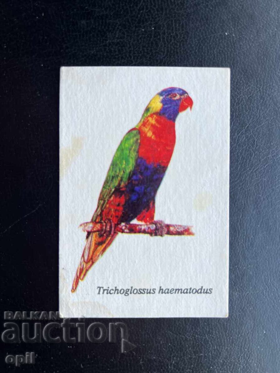 Ημερολόγιο Παπαγάλος 1989