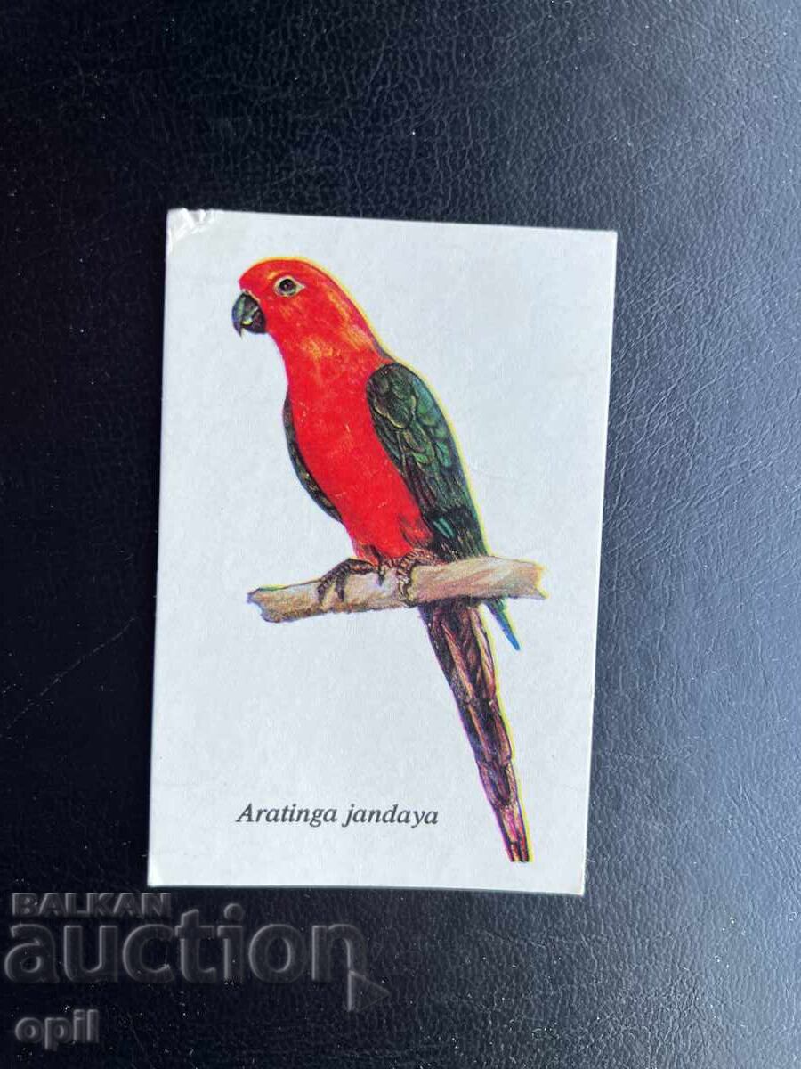 Calendar Papagal 1989