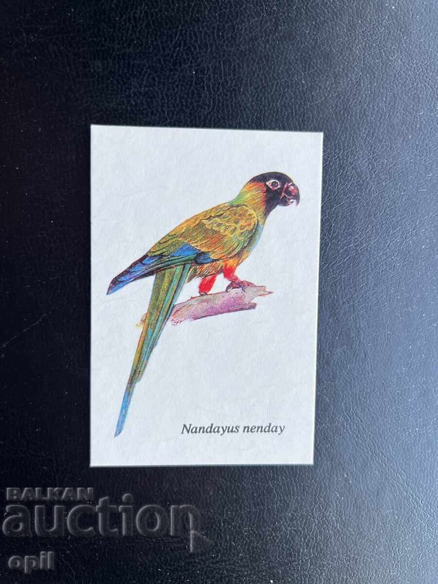 Calendar Papagal 1989