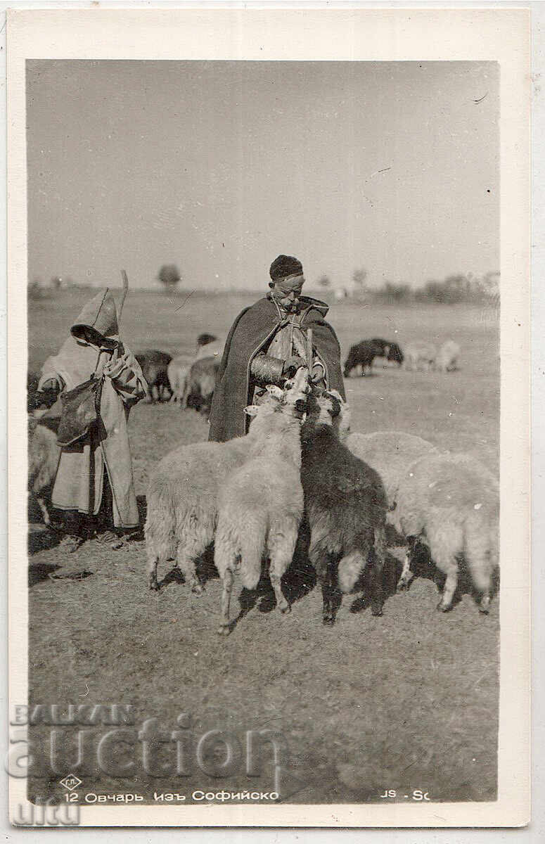 България, Овчар из Софийско, непътувала