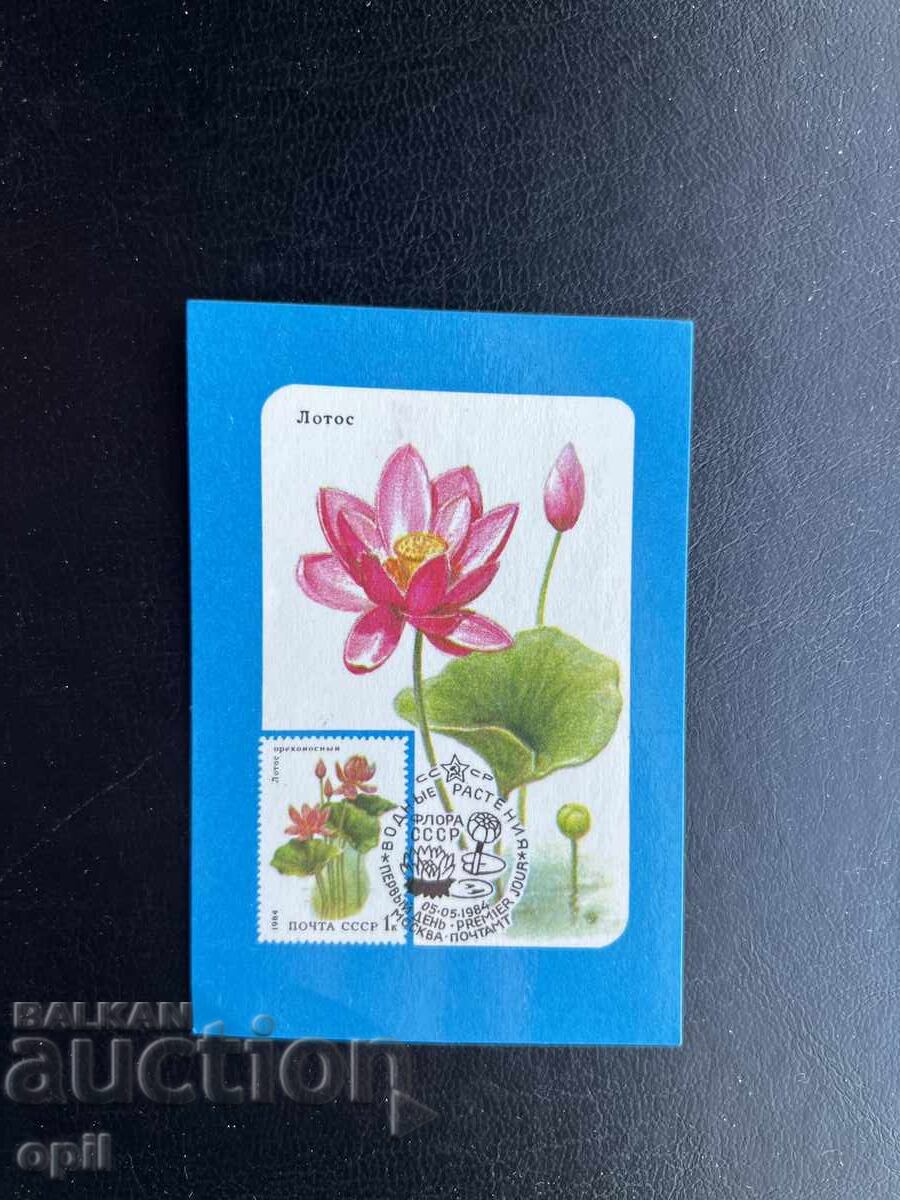 Календарче     1989