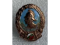 много рядък пожарникарски нагръден знак - За Дълга Служба