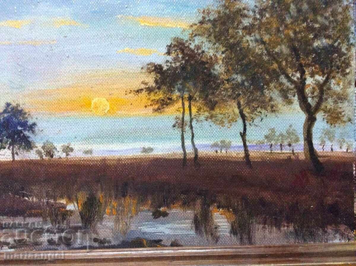 Tablou în ulei Apus de soare pe râul Roger Brown cu preț € 24.00 | 46.94 BGN