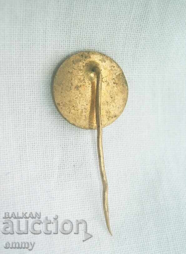 Licitație Emblemă Skoda Škoda, 1894-1974