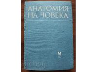 Анатомия на човека - 1990г.