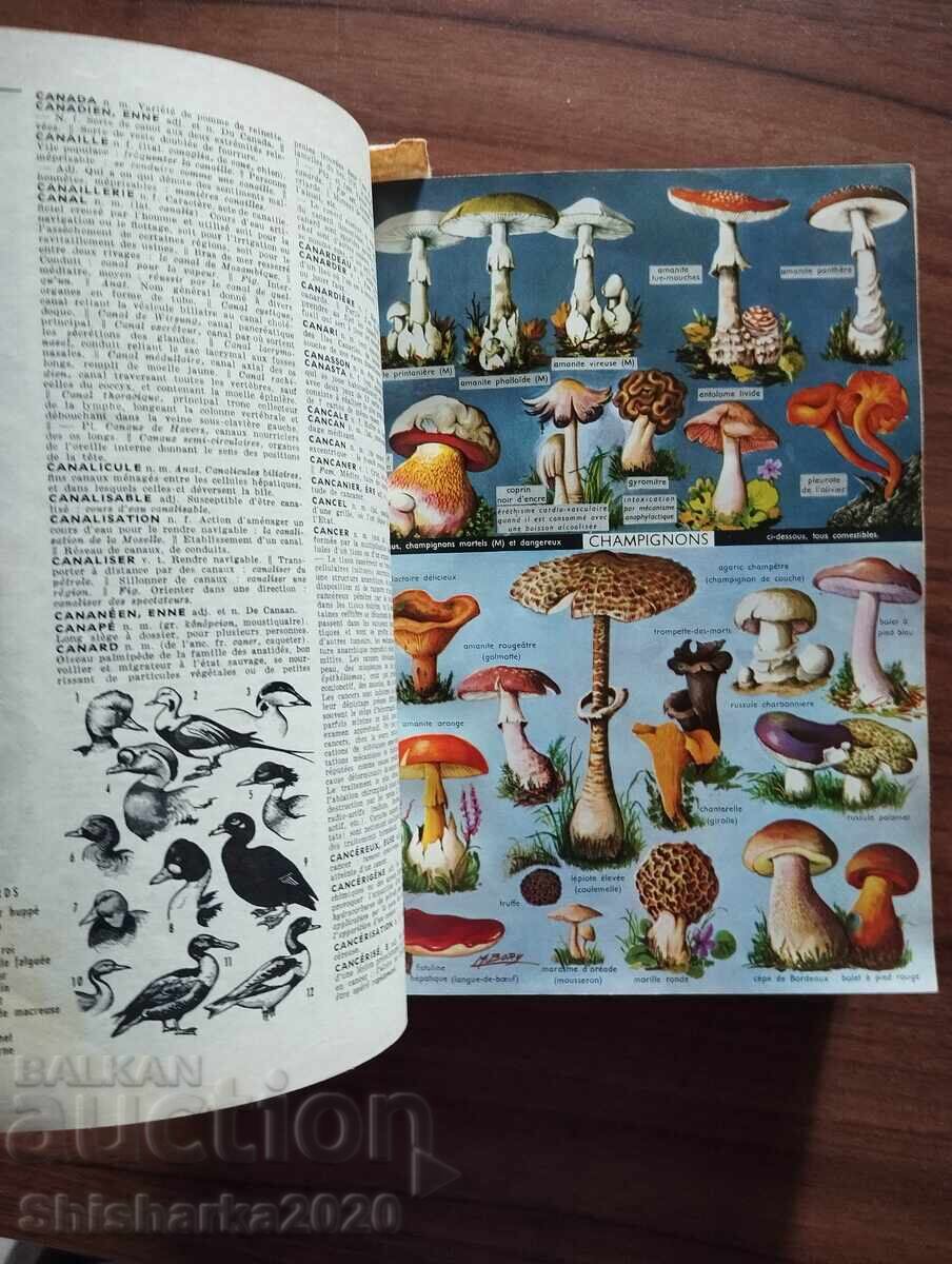 Μικρό γαλλικό εγκυκλοπαιδικό λεξικό PETITE LAROUSSE - 5