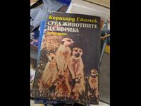 Ανάμεσα στα ζώα της Αφρικής ο Bernhard Gjimek