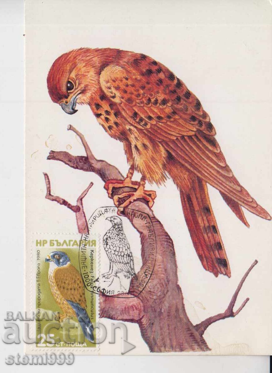 Κάρτα ταχυδρομείου MAX Πουλιά